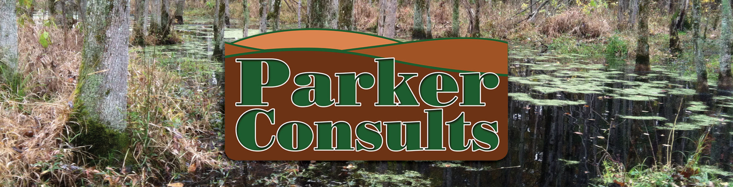 Parker Consults